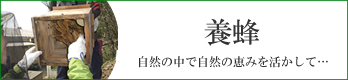 養蜂バナー