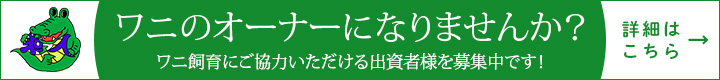 ワニ養殖バナー