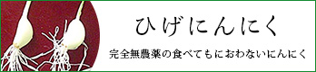 ひげニンニクバナー