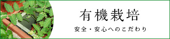無農薬栽培バナー