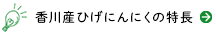 香川産ひげにんにくの特長
