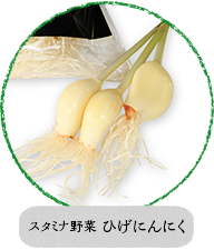 スタミナ野菜ひげにんにく