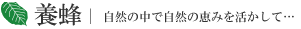 養蜂 | 自然の中で自然の恵みを活かして…
