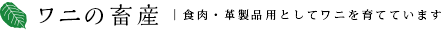 ワニの畜産 | 食肉・革製品用としてワニを育てています