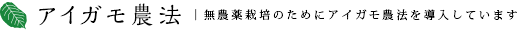 アイガモ農法 | 無農薬栽培のためにアイガモ農法を導入しています