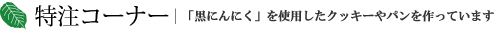 特注品コーナー | 特注品コーナー