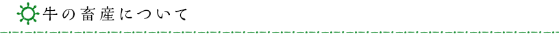 牛の畜産について