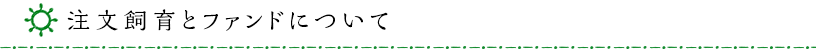 注文飼育とファンドについて