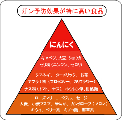 ガン予防効果が特に高い食品