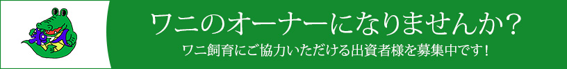 ワニのオーナーになりませんか？